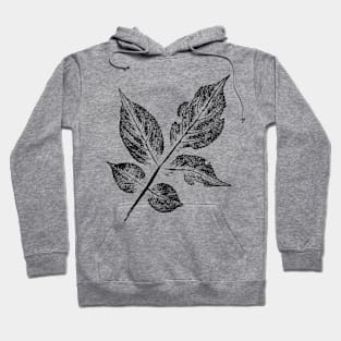 Leaf Elder (Sambucus) IMPRINT Hoodie